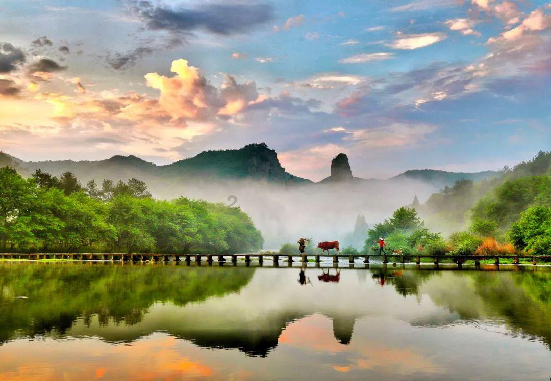 逃离橡子树种植地